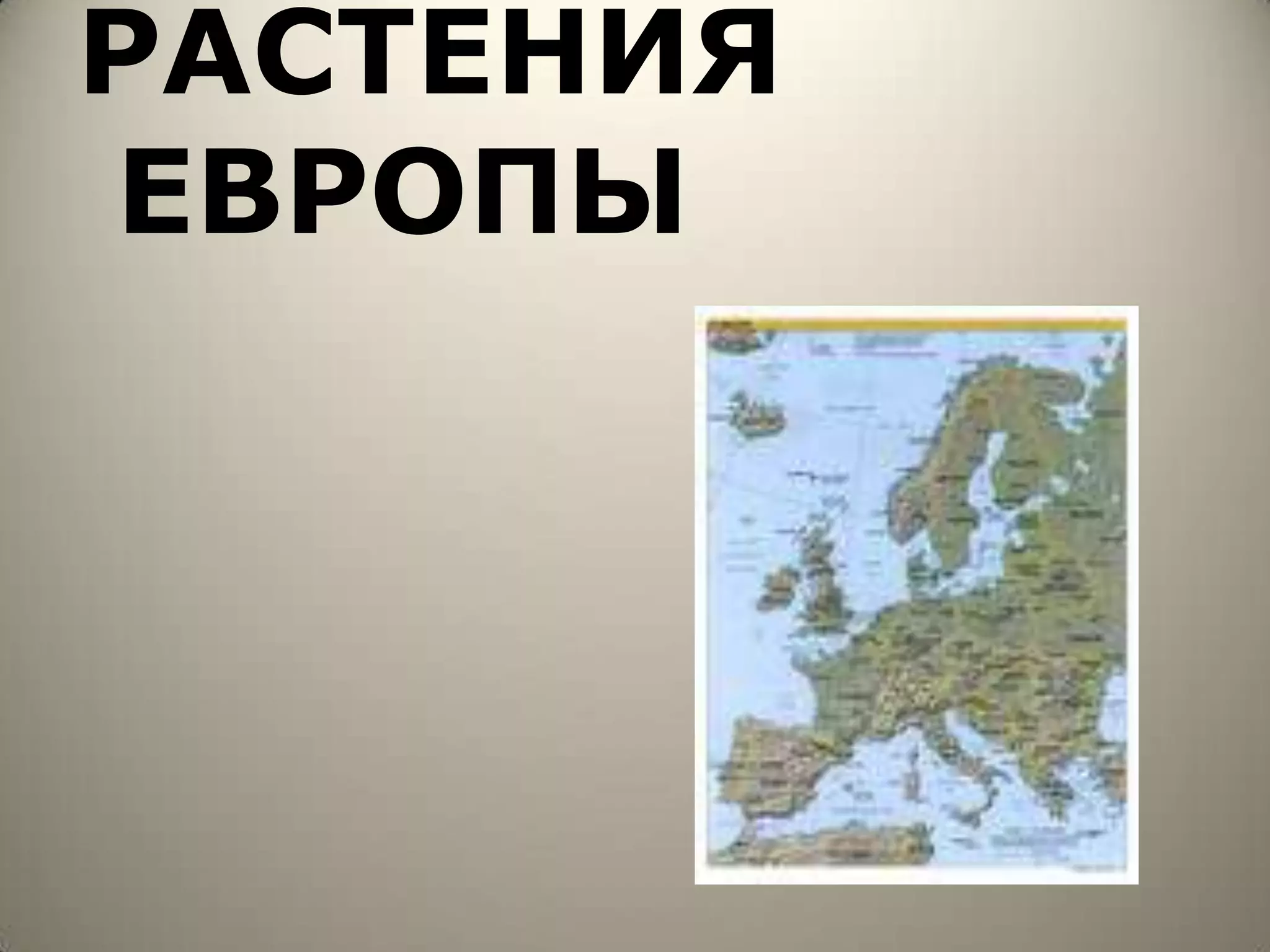 РАСТЕНИЯ
ЕВРОПЫ
 