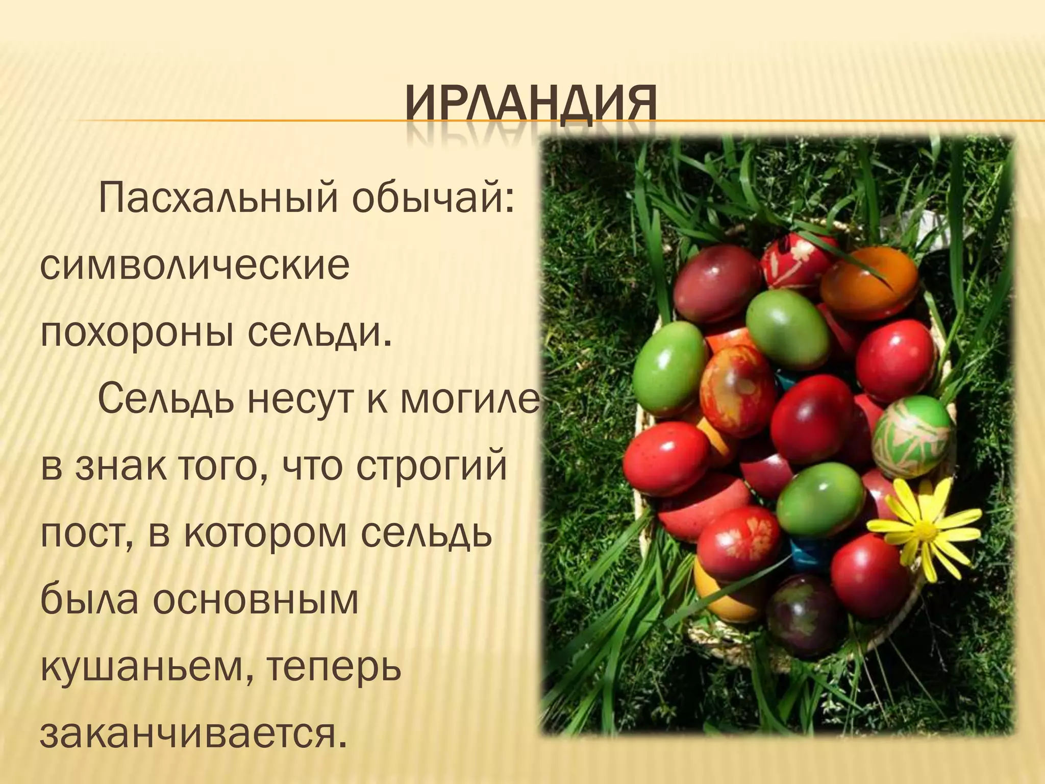 ИРЛАНДИЯ
   Пасхальный обычай:
символические
похороны сельди.
   Сельдь несут к могиле
в знак того, что строгий
пост, в котором сельдь
была основным
кушаньем, теперь
заканчивается.
 