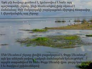 Եթե լճի ծավալը քչանում է, կրճատվում է նաեւ այդ
պաշտպանիչ շերտը, ինչի հետեւանքով լիճը սկսում է
ճահճանալ: Ջրի մակարդակի բարձրացման միջոցով հնարավոր
է վերականգնել այդ շերտը:




Մեծ Սեւանում շերտը լիովին բացակայում է, Փոքր Սեւանում
այն կա աննշան չափով, սակայն ճահճացման երեւույթներն
արդեն տարածվում են նաեւ Փոքր Սեւանի վրա. ջուրը կանաչում
է եւ ծաղկում ջրիմուռներով:
 