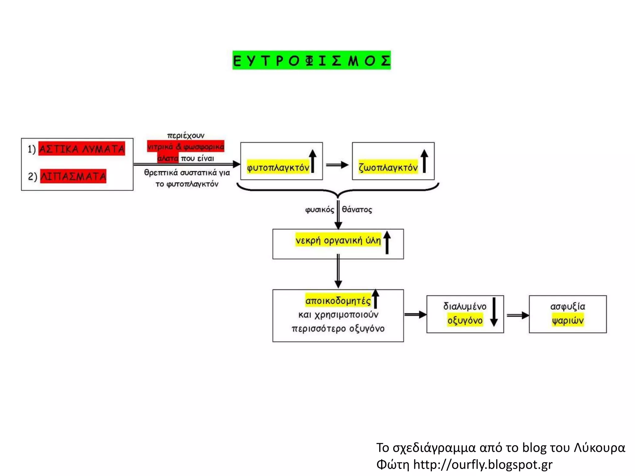 Το ςχεδιάγραμμα από το blog του Λφκουρα
Φϊτθ http://ourfly.blogspot.gr
 