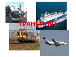 ТРАНСПОРТ
 