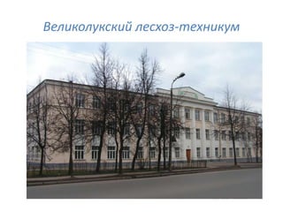 Великолукский лесхоз-техникум
 
