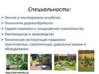 Специальности:
 Лесное и лесопарковое хозяйство
 Технология деревообработки
 Садово-парковое и ландшафтное строительство
 Охотоведение и звероводство
 Техническая эксплуатация подъемно-
  транспортных, строительных, дорожных машин и
  оборудования




  http://vlht.edusite.ru/
 