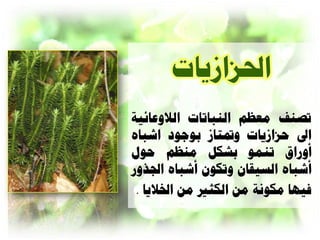 ‫ذ ٌف هعظن الٌثاذاخ الالّعائيح‬
‫اىل دصاشياخ ّدتراش تْوْ اشثاٍ‬
‫أّزار ذٌوْ تشكل هٌظن دْا‬
‫أشثاٍ العيقاى ّذكْى أشثاٍ امرّز‬
 ‫نيِا هكًْح هي الكثن هي اخلاليا .‬
 