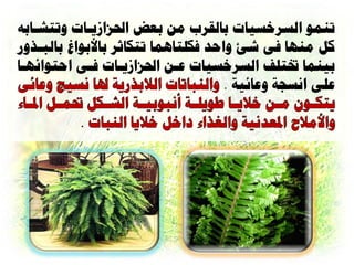 ‫ذٌوْ العساعياخ تالقسب هي تعا احلصاشيااخ ّذرشااتَ‬
‫كل هٌِا نٔ شئ ّادد نكلراُوا ذركاثس تاألتْاغ تالثارّز‬
‫تيٌوا خترلف العساعياخ عاي احلصاشيااخ نأ ادرْائِاا‬
                                    ‫علٔ اًعجح ّعائيح .‬
 