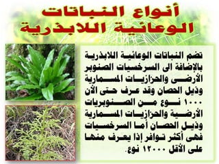 ‫ذضن الٌثاذاخ الْعائياح الالترزياح‬
‫تاإل انح اىل العساعياخ ال ٌْتس‬
‫األز اأ ّاحلصاشي اااخ ادلع ااوازيح‬
      ‫ا‬          ‫ا‬            ‫ا‬
‫ّذيل احل اى ّقد عاسف دا األى‬
‫0001 ً اااْا ه اااي ال اااٌْتسياخ‬
           ‫ا‬         ‫ا‬      ‫ا‬
‫األز اايح ّاحلصاشي اااخ ادلع ااوازيح‬
      ‫ا‬          ‫ا‬            ‫ا‬
‫ّذياال احل اااى أهااا العساعااياخ‬
‫نِٔ أكثس ذاْانس إذا يعاسف هٌِاا‬
             ‫علٔ األقل 00021 ًْا.‬
 