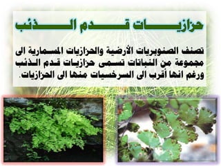 ‫ذ ٌف ال ٌْتسياخ األز يح ّاحلصاشياخ ادلعاوازيح اىل‬
‫رلوْعح هي الٌثاذاخ ذعاؤ دصاشيااخ قادم الارئة‬
 ‫ّزغن اًِا أقسب اىل العساعياخ هٌِا اىل احلصاشياخ.‬
 