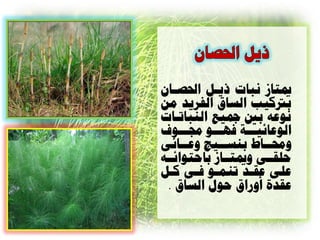 ‫ميراش ًثاخ ذيال احل ااى‬
‫ترتكية العار الفسيد هي‬
‫ًْعَ ت رتي الٌثاذااخ‬
‫الْعائياااح نِاااْ رلاااْف‬
‫ّزلاااب تٌعاايا ّعااائٔ‬
‫دلقاأ ّميراااش تادرْائااَ‬
‫علٔ عقاد ذٌواْ نأ كال‬
  ‫عقدج أّزار دْا العار .‬
 