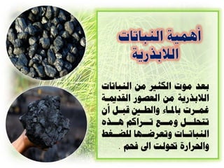 ‫تعد هْخ الكثن هي الٌثاذاخ‬
‫الالترزيح هي الع ْز القدمياح‬
‫غواسخ تادلااء ّالط ا قثال أى‬
     ‫ا‬             ‫ا‬       ‫ا‬
‫ذرذلااال ّهااا ذاااساكن ُااارٍ‬
  ‫الٌثاذاااخ ّذعس ااِا للضااغ‬
     ‫ّاحلسازج حتْلد اىل نذن .‬
 