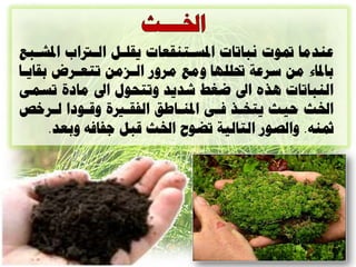 ‫عٌدها دتْخ ًثاذاخ ادلعارٌقعاخ يقلال الارتاب ادلشاث‬
‫تادلاء هي ظسعح حتللِا ّه هسّز الاصهي ذرعاسض تقاياا‬
‫الٌثاذاخ ُرٍ اىل غ شديد ّذرذْا اىل ها ج ذعؤ‬
‫اخلث ديث يرخار نأ ادلٌااطق الفقانج ّقاْ ا لاساص‬
      ‫ذتٌَ. ّال ْز الراليح ذضْح اخلث قثل وفانَ ّتعد.‬
 