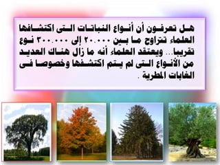 ‫ُاال ذعسنااْى أى أًااْاا الٌثاذاااخ ال ا اكرشااانِا‬
‫العلواء ذرتاّح هاا تا 000.02 إىل 000.003 ًاْا‬
‫ذقسيثا... ّيعرقد العلواء أًَ ها شاا ٌُاا العدياد‬
‫هي األًاْاا الا ي يارن اكرشافِا ّا ْىاا نأ‬
                                   ‫الغاتاخ ادلطسيح .‬
 