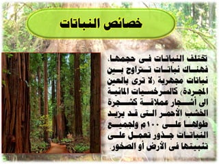 ‫ا ائص الٌثاذاخ‬

         ‫خترلف الٌثاذااخ نأ دجوِاا‬
            ‫نٌِااا ًثاذاااخ ذاارتاّح تاا‬
            ‫ًثاذاخ رلِسيح (ال ذسٓ تالع‬
        ‫اجملاس ج) كالعساعاياخ ادلائياح‬
          ‫ا‬          ‫ا‬               ‫ا‬
        ‫اىل أشاااجاز عوالقاااح كشاااجسج‬
        ‫اخلشة األزتاس الا قاد يصياد‬
           ‫طْذل ااا عل اأ 001م ّموي اا‬
            ‫ا‬                  ‫ا‬  ‫ا‬
        ‫الٌثاذاااخ واارّز ذعواال علاأ‬
         ‫ذثثيرِا نٔ األزض أّ ال خْز.‬
 