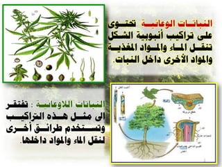 ‫: حتراآْ‬
                               ‫علٔ ذساكية أًثْتيح الشاكل‬
                               ‫ذٌقاال ادلاااء ّادلااْا ادلغريااح‬
                                 ‫ا‬                   ‫ا‬
                                ‫ّادلْا األاسٓ اال الٌثاخ.‬



‫: ذفرقاس‬
‫اىل هثاال ُاارٍ الرتاكيااة‬
   ‫ا‬          ‫ا‬     ‫ا‬
‫ّذعاارخدم طسائااق أاااسٓ‬
     ‫ا‬    ‫ا‬             ‫ا‬
    ‫لٌقل ادلاء ّادلْا االِا.‬
 
