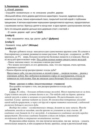 5. Реализация проекта.
1. «Узнай дерево»
- Слушайте внимательно и по описанию узнайте дерево:
«Внешний облик этого дерева достаточно характерен: пышная, кудрявая крона,
извилистые сучья, темно-коричневый ствол, покрытый толстой корой с глубокими
трещинами. К веткам короткими черешками прикрепляются крупные, продолговатые
с выемками листья. Крепыш цветет в конце мая в одно время с распусканием листьев.
Зато это мощное дерево дольше всех деревьев стоит с листвой.»
   - О каком дереве идёт речь? (Дуб)
 (слайд 4)
  - Как называются леса, где растут дубы? (Дубрава)
 (слайд 5)
- Назовите плод дуба? (Жёлудь)
 (слайд 6,7)
       Внутри дубового плода находится одно единственное крупное семя. Из семени в
благоприятных условиях развивается новое растение. В желудях содержится до 40%
крахмала, до 5% жира, большое количество белковых веществ и углеводов. Иногда
из желудей приготовляют кофе. Под дубом осенью можно увидеть много желудей.
    - Какое значение имеет это явление в жизни растения?
    - Что можно изготовить из его древесины, зная, что она твердая, очень прочная,
    красивая и ценная?
 - Каким образом ветер распространяет плоды дуба?
    Представьте себе, что вы очутились в лесной стране… посреди поляны… рядом с
    огромным дубом. Все любуемся великаном и вряд ли задумываемся, откуда он
    появился на этой поляне. Как же оказался здесь богатырь? Кто его посадил?

    Мини - рассказ о сойке. (подготовленные учащиеся)
    Послушайте историю о том, как распространяются плоды дуба.
     (слайд 8)
    Сойка: Я, сойка, - большая любительница желудей. Много перетаскаю их за день.
Сорву клювом желудь и улетаю далеко в лес. Где-нибудь сяду на дерево, прижму
лапкой желудь к ветке и начинаю его расклёвывать. Но расклёвывать могу не
каждый. Самые крепкие падают на землю. Из множества потерянных желудей
какой-нибудь прорастет, и через год другой в траве появится маленький, слабенький
росточек будущего могучего дуба.
    Вообще-то сойки – «хозяйственные» птицы, делают на зиму запасы. Иногда
забывают, иногда не находят, иногда просто не успевают за зиму съесть. (В
кладовках соек бывает до 4 кг желудей). А оставшиеся в кладовках желуди нередко
прорастают. Поскольку кладовки бывают и вдали от дубрав, появляются
молоденькие дубки в совершенно неожиданных местах.
    Из рассказа сойки поняли, что она питается желудями, так как желудь – кладезь
питательных веществ, в нём содержатся белки, крахмал, сахар и растительный жир.
 