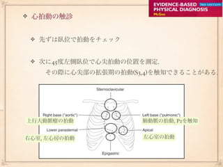 心拍動の触診


   先ずは臥位で拍動をチェック


   次に45度左側臥位で心尖拍動の位置を測定.
    その際に心尖部の拡張期の拍動(S3,4)を触知できることがある.




上行大動脈瘤の拍動             肺動脈の拍動, P2を触知


右心室, 左心房の拍動           左心室の拍動
 