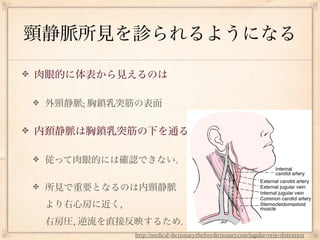 頸静脈所見を診られるようになる

肉眼的に体表から見えるのは

 外頸静脈; 胸鎖乳突筋の表面


内頚静脈は胸鎖乳突筋の下を通る

 従って肉眼的には確認できない.

 所見で重要となるのは内頸静脈
 より右心房に近く,
 右房圧, 逆流を直接反映するため.
             http://medical-dictionary.thefreedictionary.com/jugular+vein+distention
 