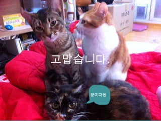 고맙습니다.

   끝이다옹
 