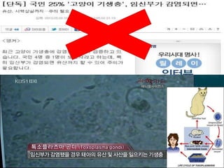 2013 윈터스픽스 파티 이그나이트 5. 김민호 