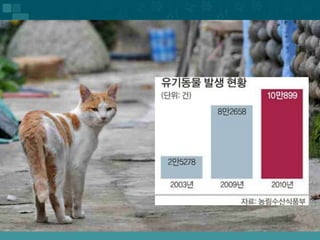 2013 윈터스픽스 파티 이그나이트 5. 김민호 