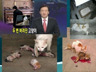 2013 윈터스픽스 파티 이그나이트 5. 김민호 