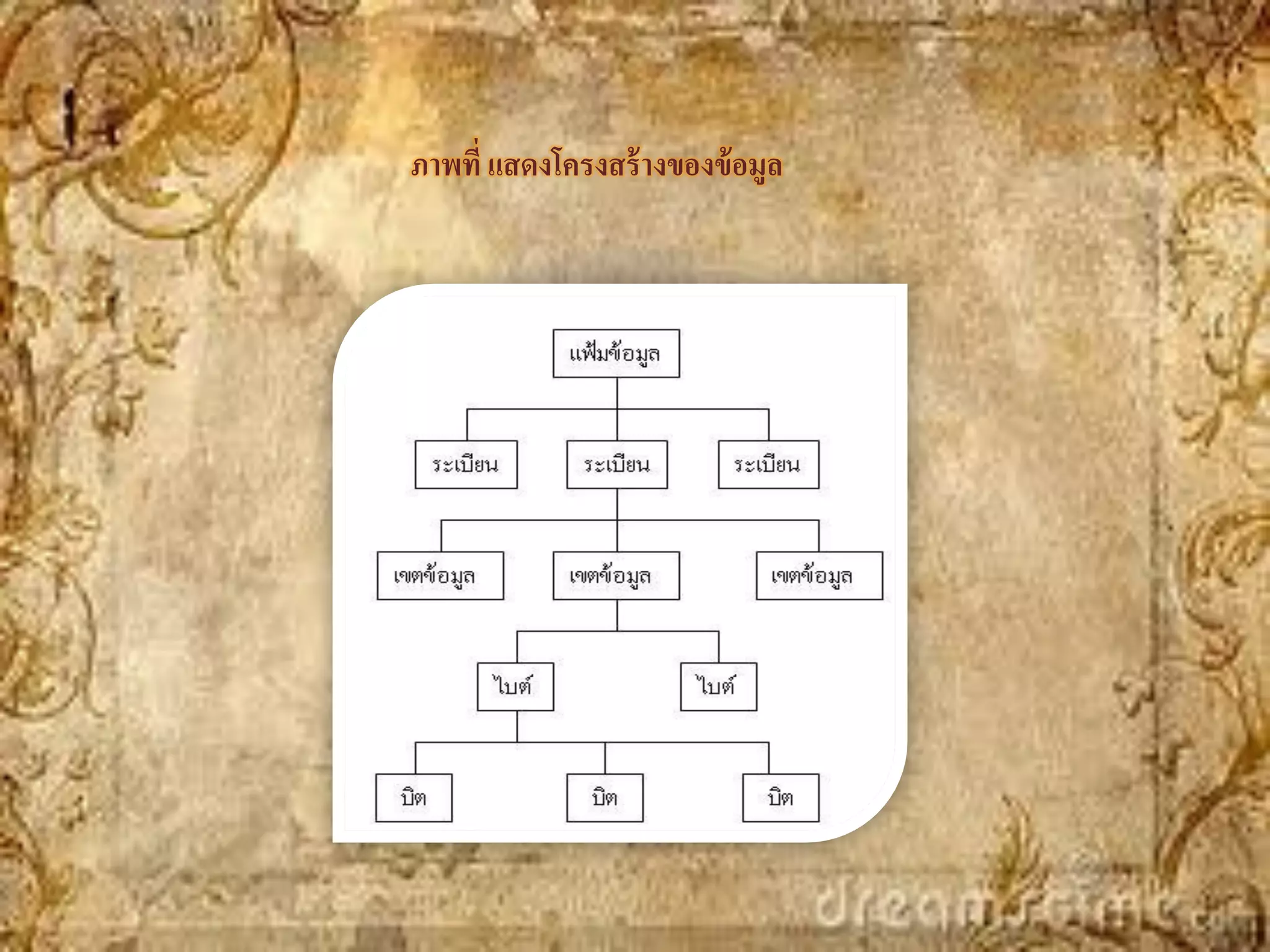 ภาพที่ แสดงโครงสร้ างของข้ อมูล
 