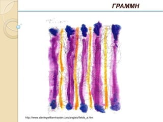 ΓΡΑΜΜΗ




http://www.stanleywilliamhayter.com/anglais/fields_a.htm
 