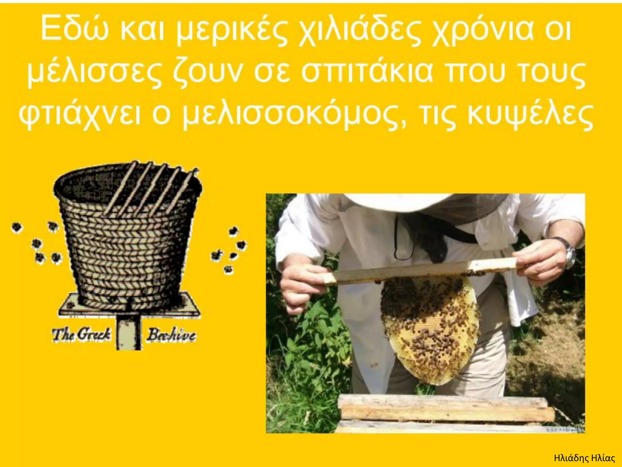 Ηλιάδης Ηλίας
 