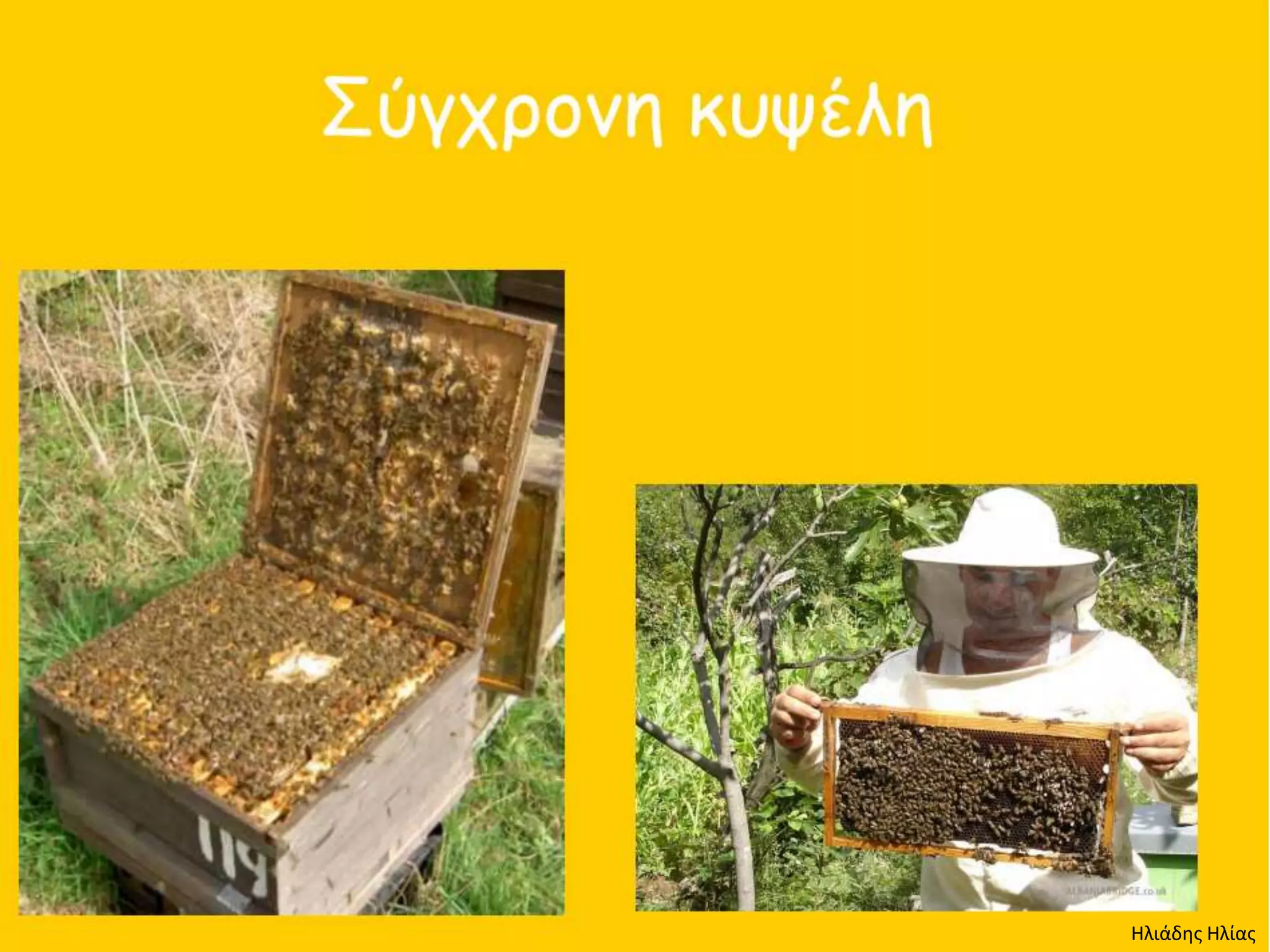 Ηλιάδης Ηλίας
 