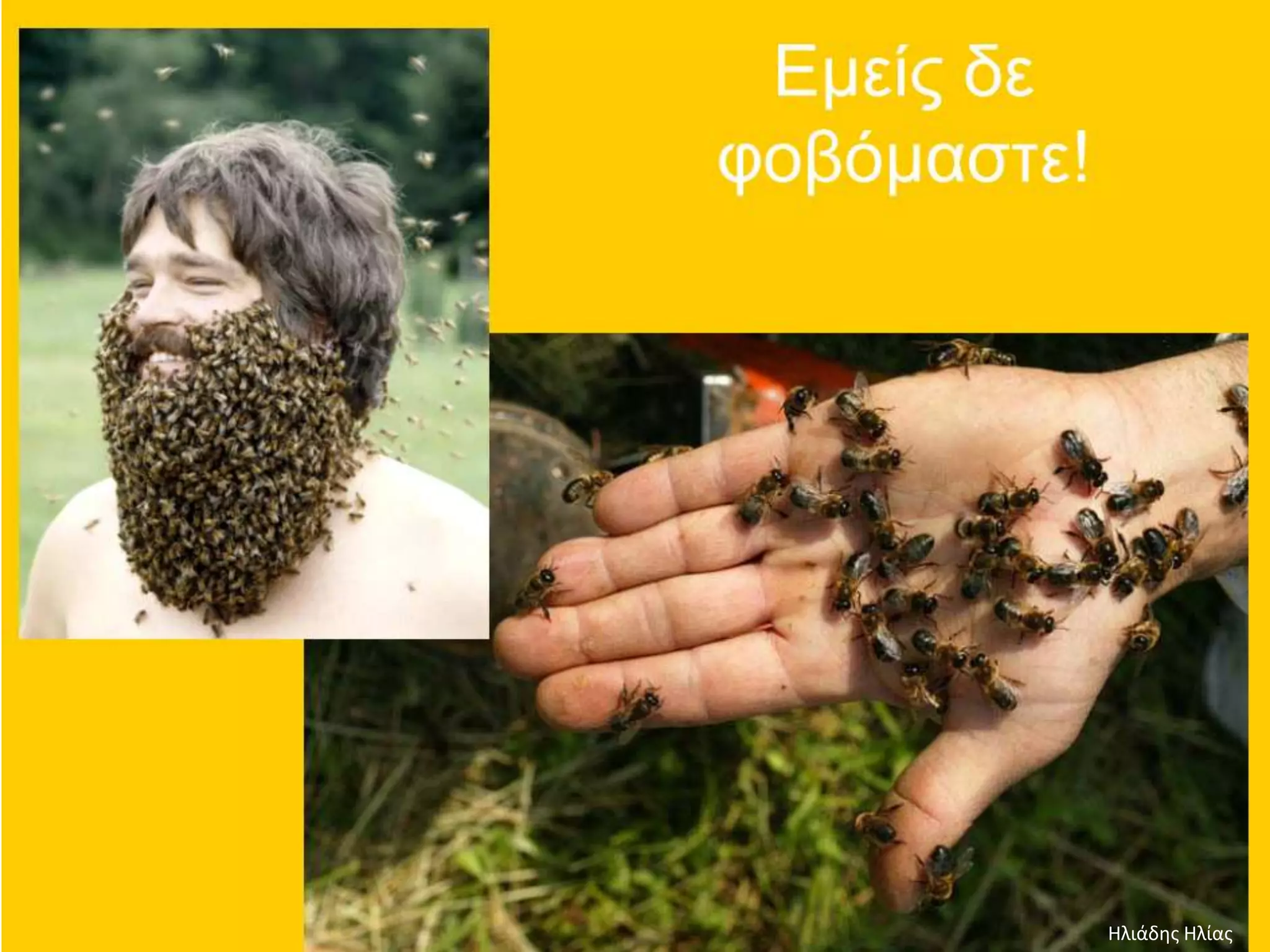 Ηλιάδης Ηλίας
 