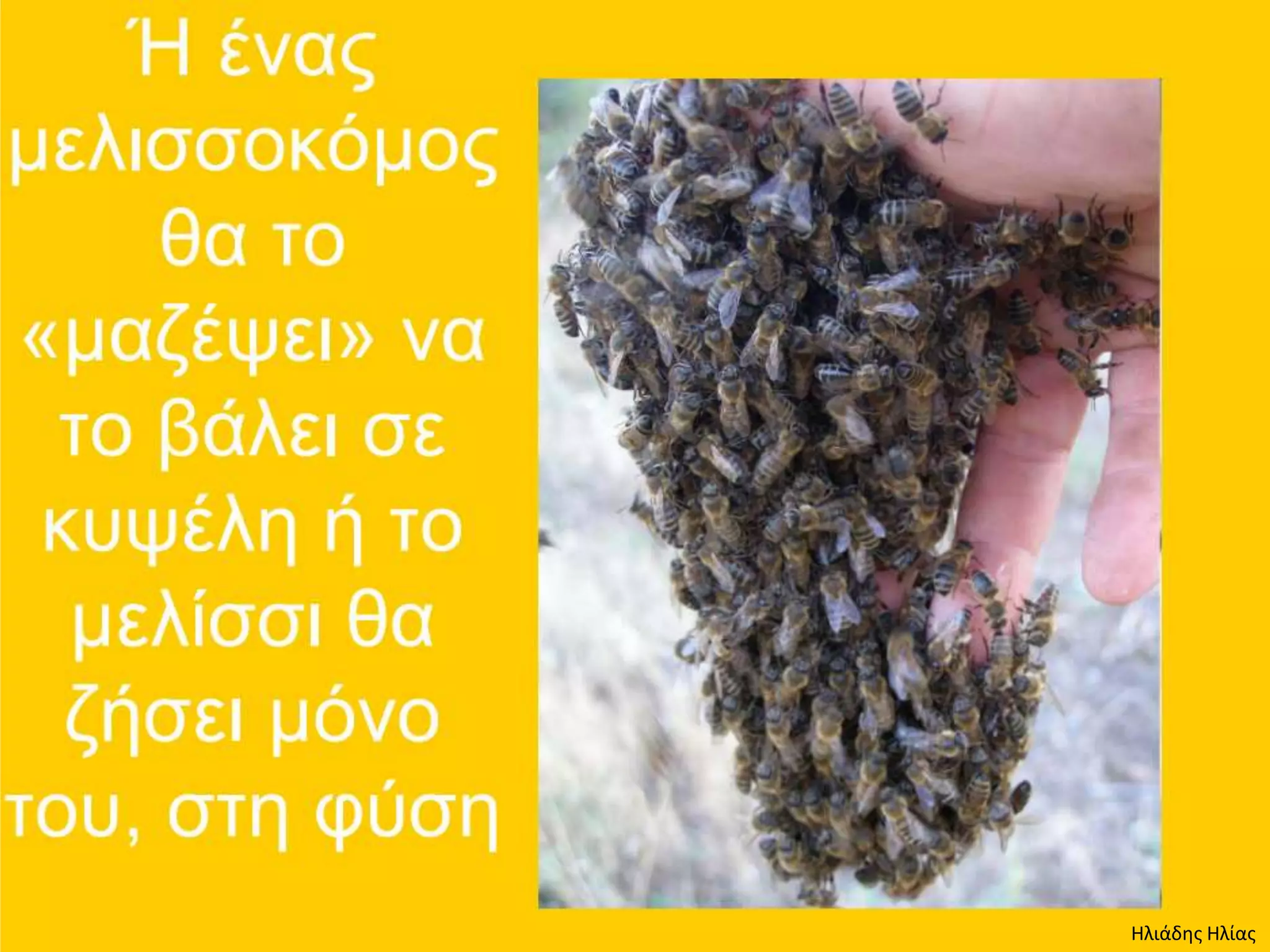 Ηλιάδης Ηλίας
 