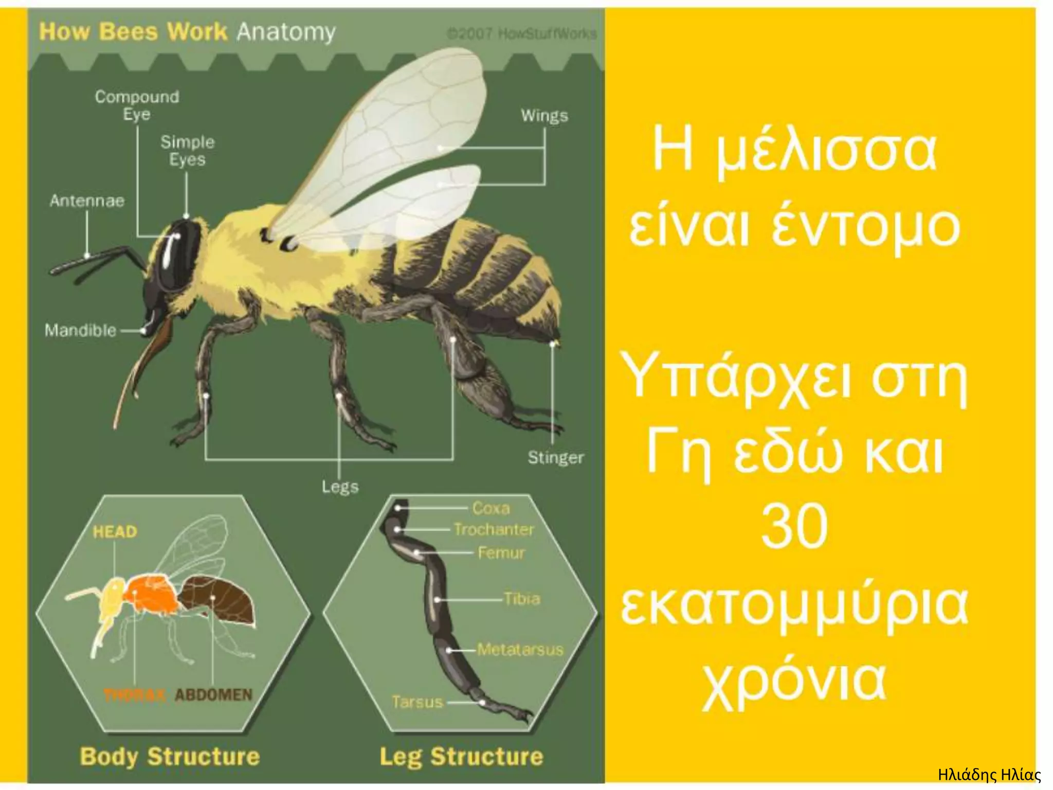 Ηλιάδης Ηλίας
 