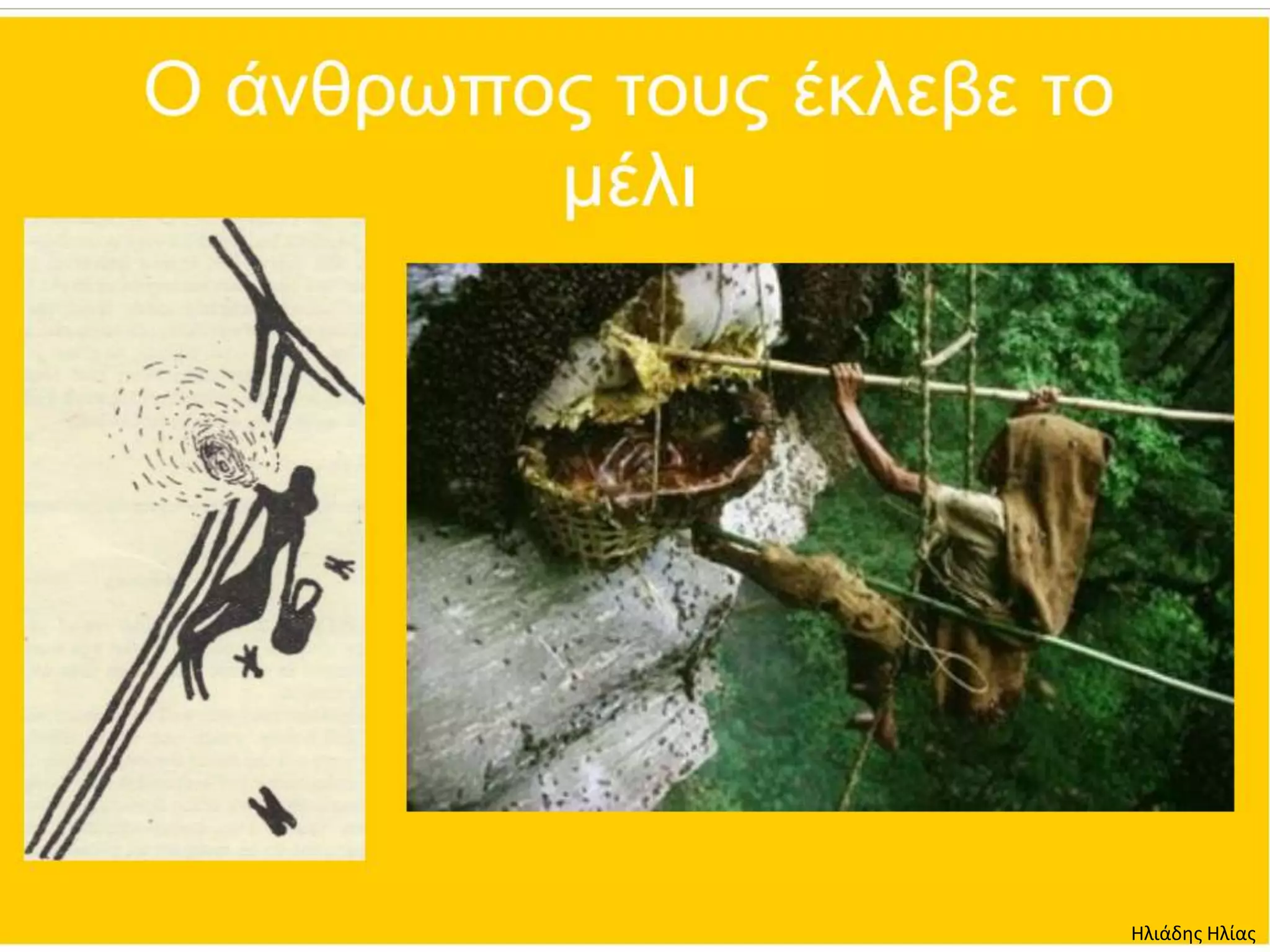 Ηλιάδης Ηλίας
 