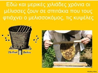 Ηλιάδης Ηλίας
 