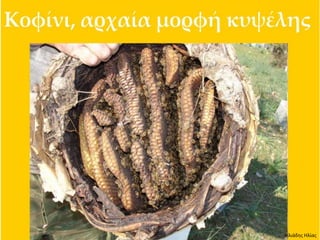 Ηλιάδης Ηλίας
 