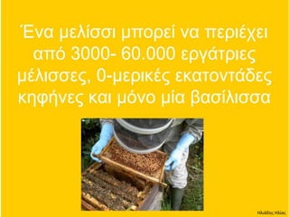 Ηλιάδης Ηλίας
 