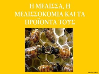 Ηλιάδης Ηλίας
 