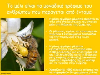 Ηλιάδης Ηλίας
 