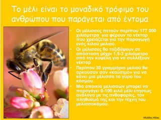 Ηλιάδης Ηλίας
 