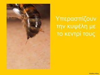 Ηλιάδης Ηλίας
 