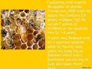 Ηλιάδης Ηλίας
 