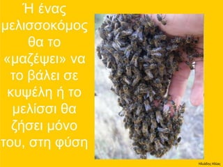 Ηλιάδης Ηλίας
 