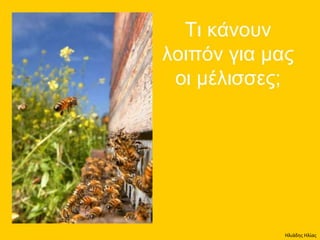 Ηλιάδης Ηλίας
 