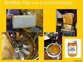 Ηλιάδης Ηλίας
 