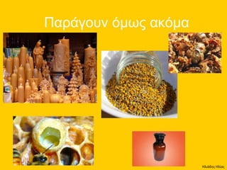 Ηλιάδης Ηλίας
 