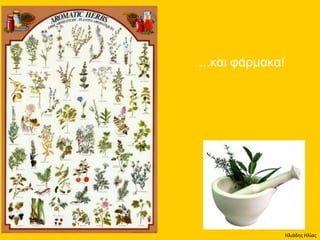 Ηλιάδης Ηλίας
 