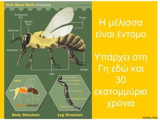 Ηλιάδης Ηλίας
 