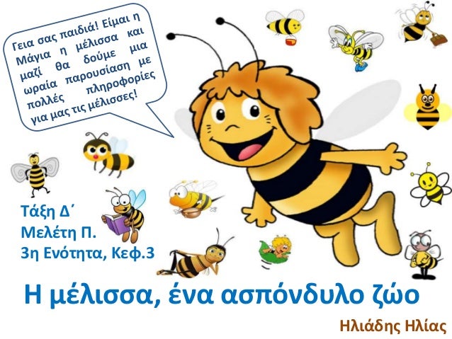 Τάξθ Δ΄Μελζτθ Π.3θ Ενότθτα, Κεφ.3Η μζλιςςα, ζνα αςπόνδυλο ηώο Ηλιάδθσ Ηλίασ 