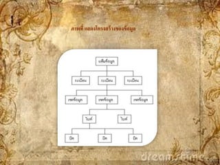 ภาพที่ แสดงโครงสร้ างของข้ อมูล
 