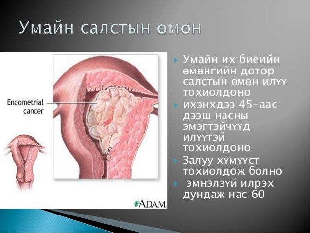 умайн их биеийн өмөн