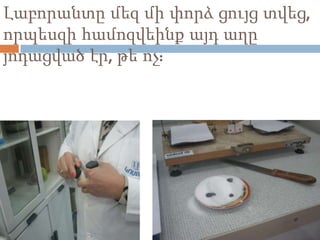 Լաբորանտը մեզ մի փորձ ցույց տվեց,
որպեսզի համոզվեինք այդ աղը
յոդացված էր, թե ոչ:
 
